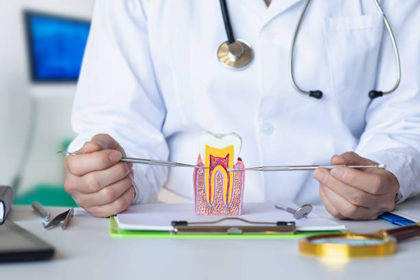 Best Emergency Treatment for Toothache in Sparta, MO